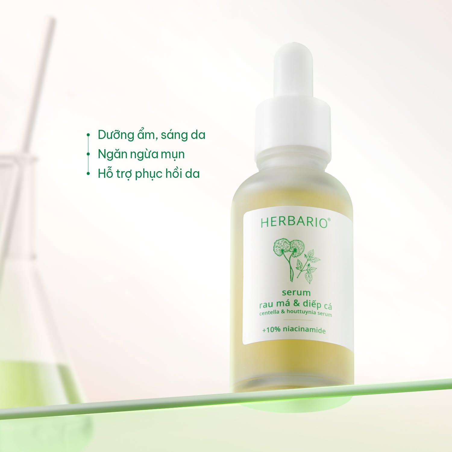Serum rau má Herbario có tác dụng gì Serum rau ma diep ca herbario co tac dung gi