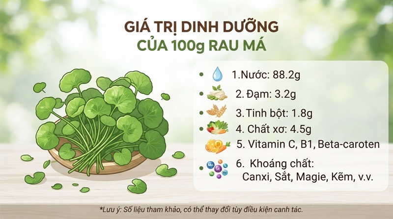 thanh phan dinh duong trong 100gram rau ma