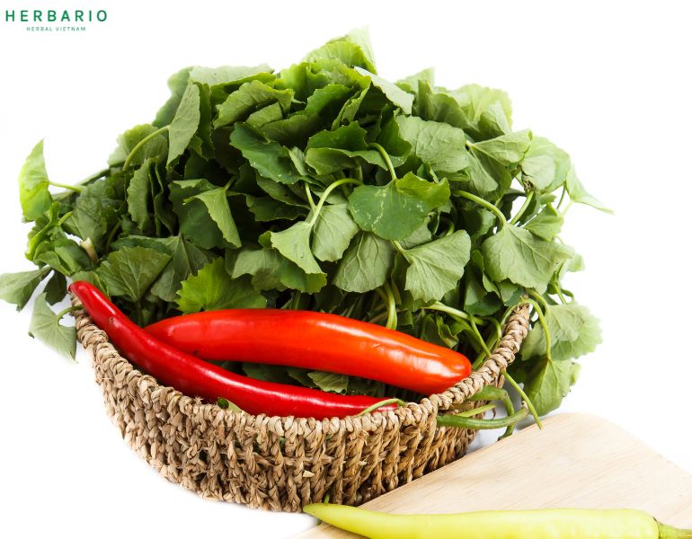 Các món ăn từ rau má ngon