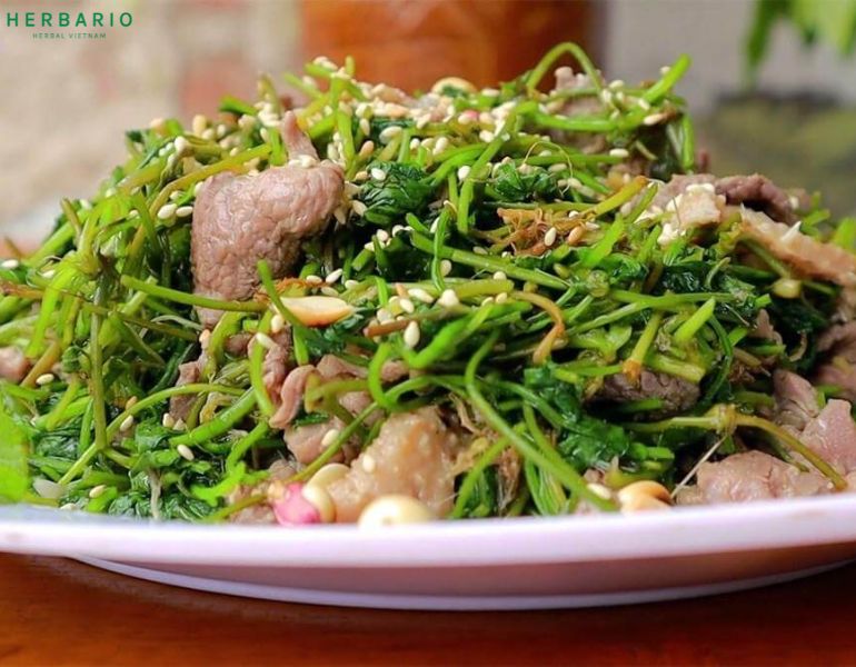 Sau sinh bao lâu thì được ăn rau má