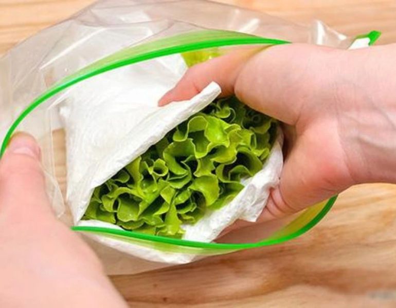 Bảo quản rau má đúng cách