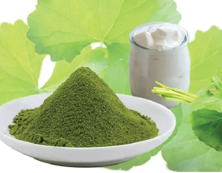 Sử dụng bột rau má đúng cách
