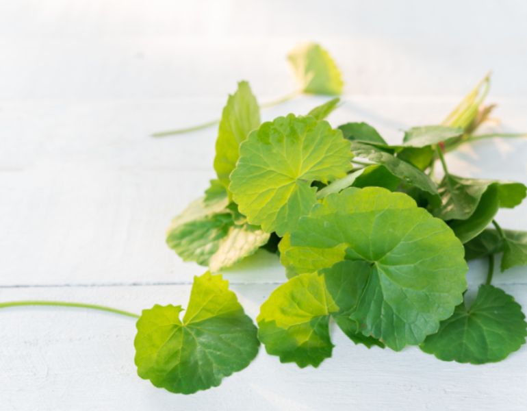 Cách chữa bệnh bằng rau má