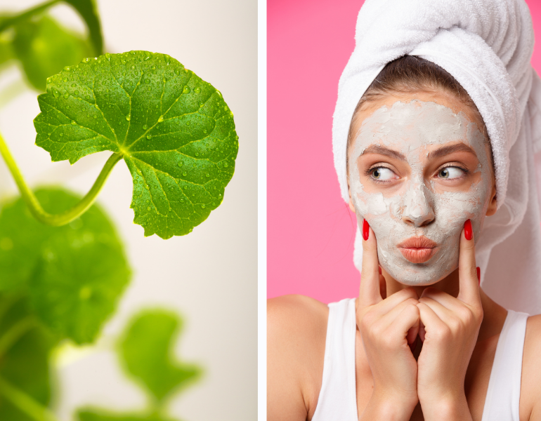 Đắp mặt nạ làm đẹp từ rau má