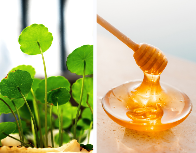 Mặt nạ rau má mật ong