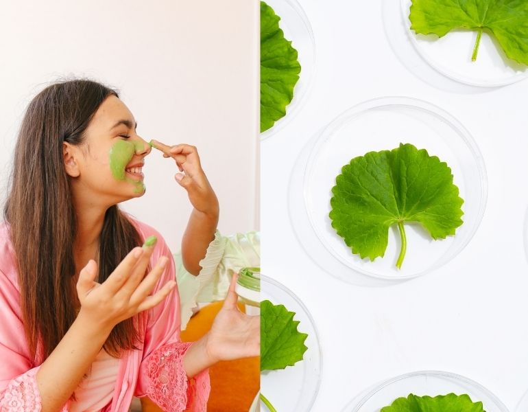 Tác dụng của mặt nạ rau má