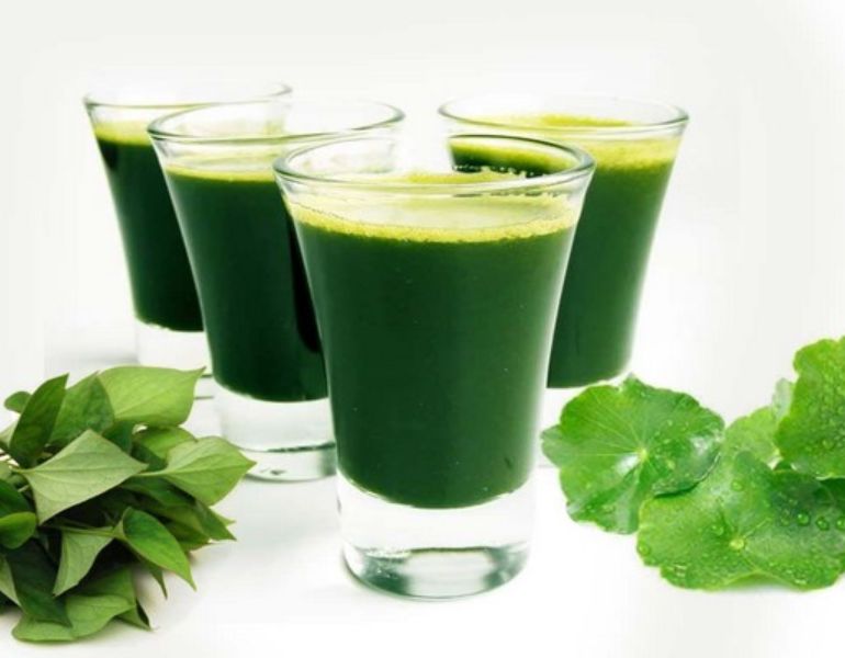Nước ép rau má diếp cá Nước ép rau má diếp cá
