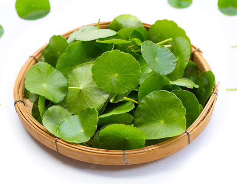 Rau má trị bệnh gì?