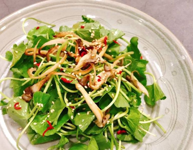 Rau má trị bệnh gì?