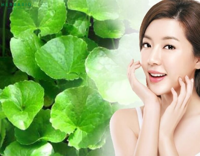 Tác dụng của rau má đối với làn da