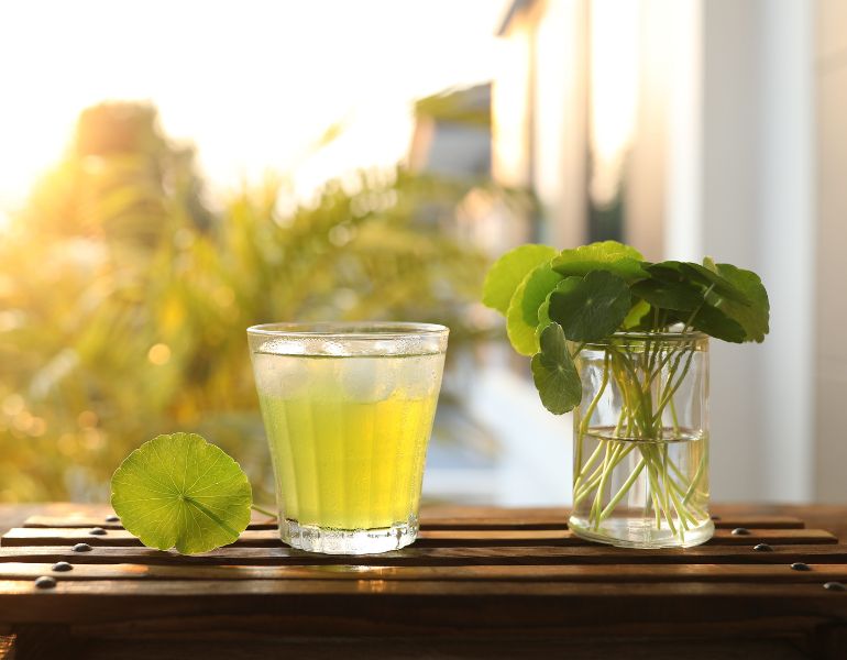 Công dụng của trà rau má
