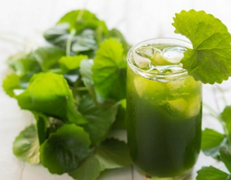 Rau má giải độc gan