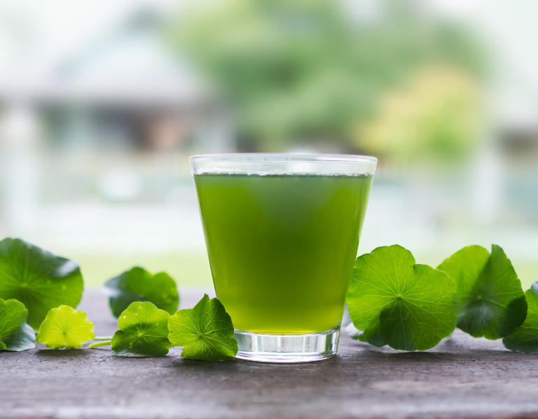 Nước ép rau má giúp giải rượu Nước ép rau má giúp giải rượu
