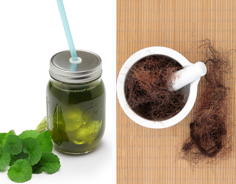 Nước râu ngô kết hợp với rau má giải rượu Nước râu ngô kết hợp với rau má giải rượu