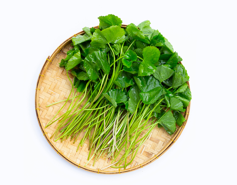 Rau má sữa bao nhiêu calo?