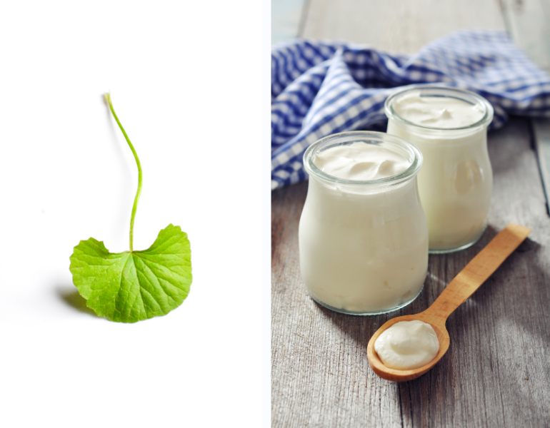 Mặt nạ rau má trị mụn kết hợp sữa chua