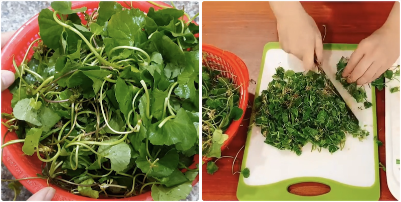 Cách làm rau má nước dừa cach lam rau ma nuoc dua