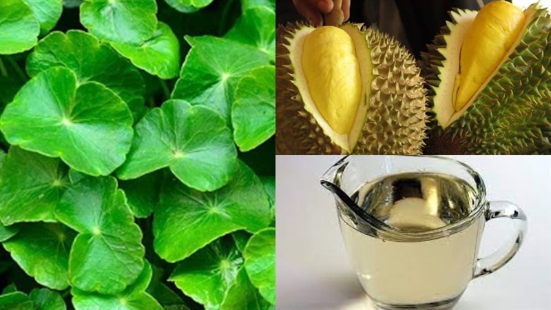 Cách làm rau má sầu riêng cach lam rau ma sau rieng
