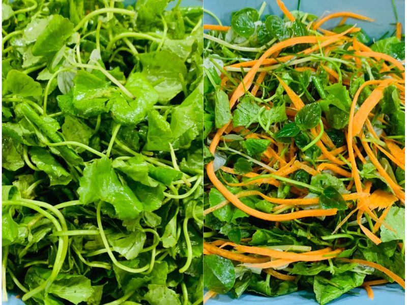 cach lam salad rau ma