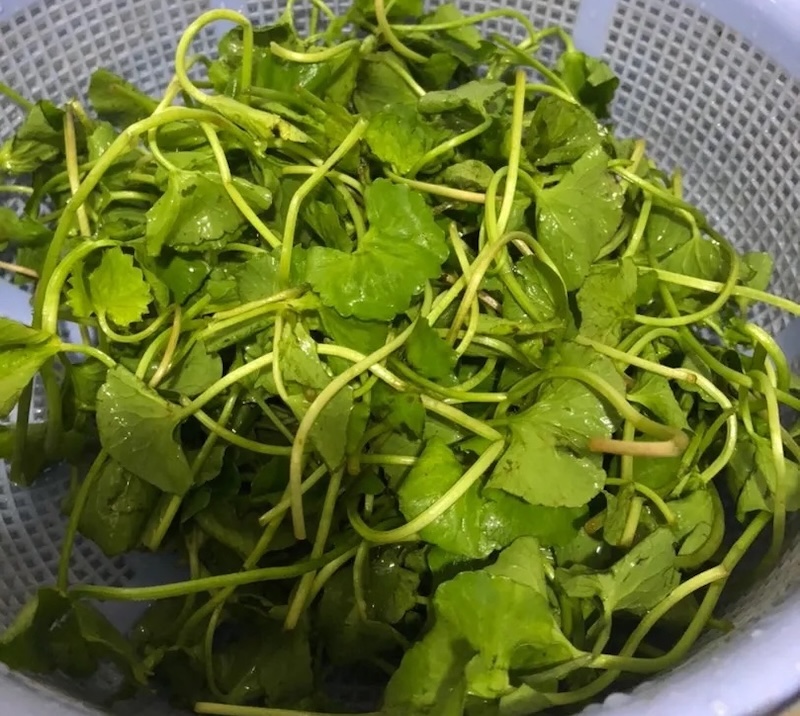 cach nau canh rau ma nau ngheu