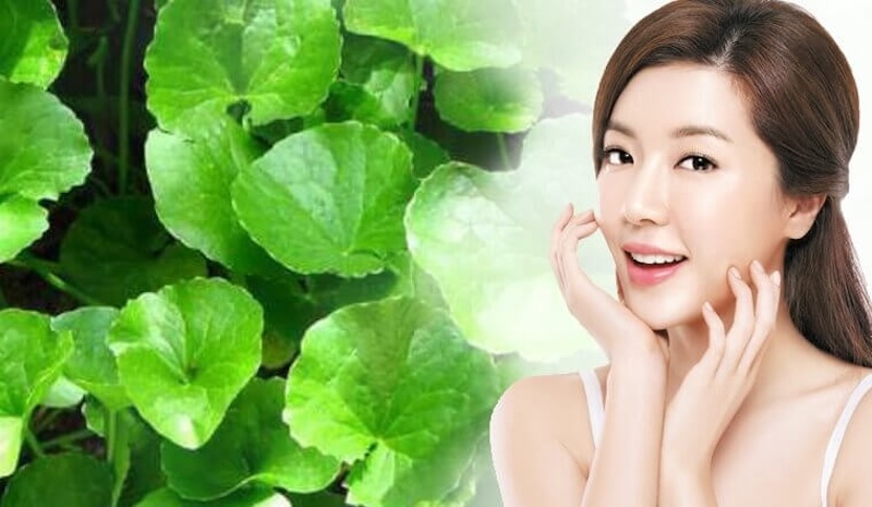 Cách dùng rau má trị mụn cach dung rau ma tri mun