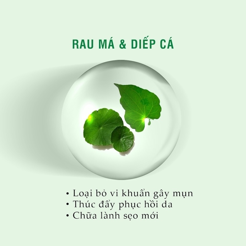 chiet xuat Centella Asiatica la gi