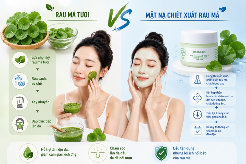 Nên dùng rau má tươi hay mặt nạ chiết xuất rau má nen dung rau ma tuoi hay mat na chiet xuat rau ma