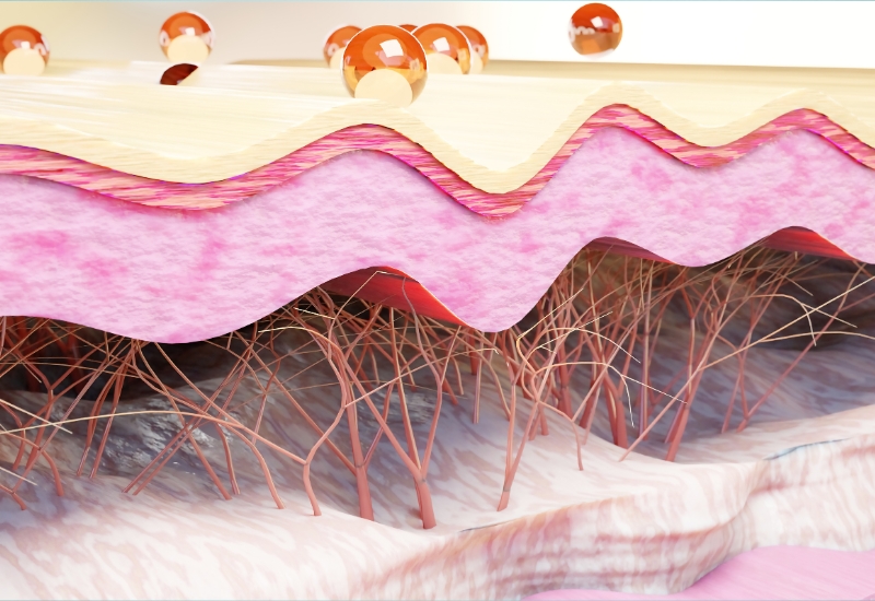 tang sinh collagen