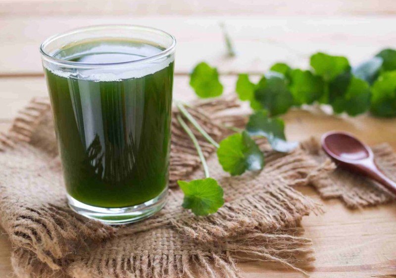 Rau má uống bao nhiêu là đủ rau ma uong bao nhieu la du