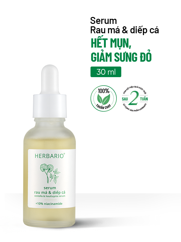 Rau má giúp làm lành vết thương rau ma giup lam lanh vet thuong