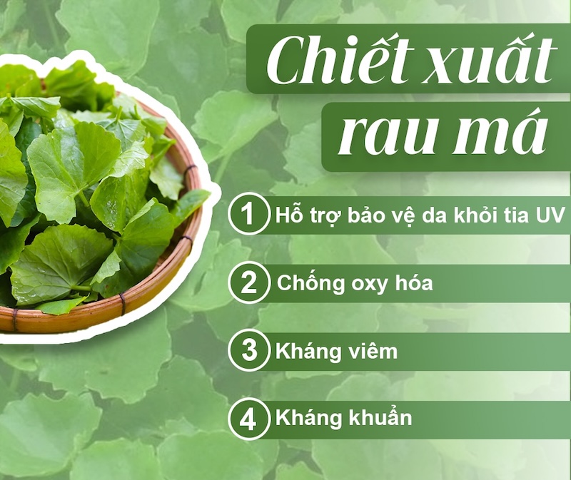 cac loai rau ma pho bien