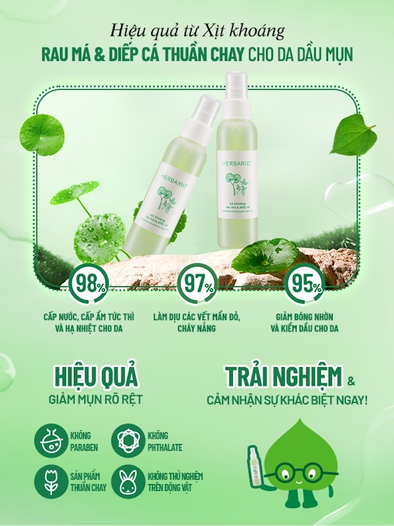 cong dung cua xit khoang rau ma diep ca