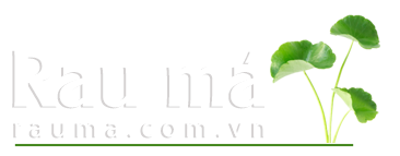 Rau Má