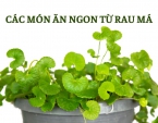 Bỏ túi ngay các món ăn từ rau má