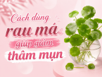 Cách dùng rau má giúp giảm thâm mụn hiệu quả, hỗ trợ da sáng khỏe tự nhiên
