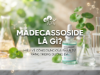Madecassoside là gì? Loại da nào nên sử dụng thành phần này?