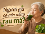 Người già có nên uống rau má không? Lợi ích và những lưu ý khi sử dụng