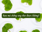 Rau má chống ung thư được không?