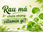 Rau má chứa những vitamin gì? Giải mã giá trị dinh dưỡng của rau má