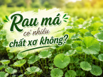 Rau má có nhiều chất xơ không? Những điều bạn nên biết trước khi sử dụng