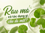 Rau má có tác dụng gì cho da mặt? Giải đáp lợi ích và cách sử dụng đúng cách
