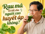 Rau má có tốt cho người cao huyết áp không? Những lưu ý khi dùng