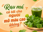 Rau má có tốt cho người mỡ máu cao không? Những trường hợp cần thận trọng