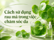6 Cách sử dụng rau má trong việc chăm sóc da đơn giản tại nhà