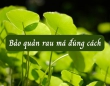 Bảo quản rau má như thế nào cho đúng cách?