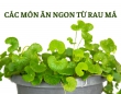 Bỏ túi ngay các món ăn từ rau má