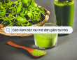 Cách làm bột rau má đơn giản tại nhà