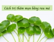 Cách trị thâm mụn bằng rau má đơn giản mà bạn không thể bỏ qua