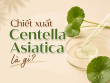 Chiết xuất Centella Asiatica là gì? Có tác dụng với làn da mụn?