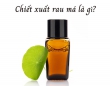 Chiết xuất rau má là gì? Công dụng của chiết xuất rau má